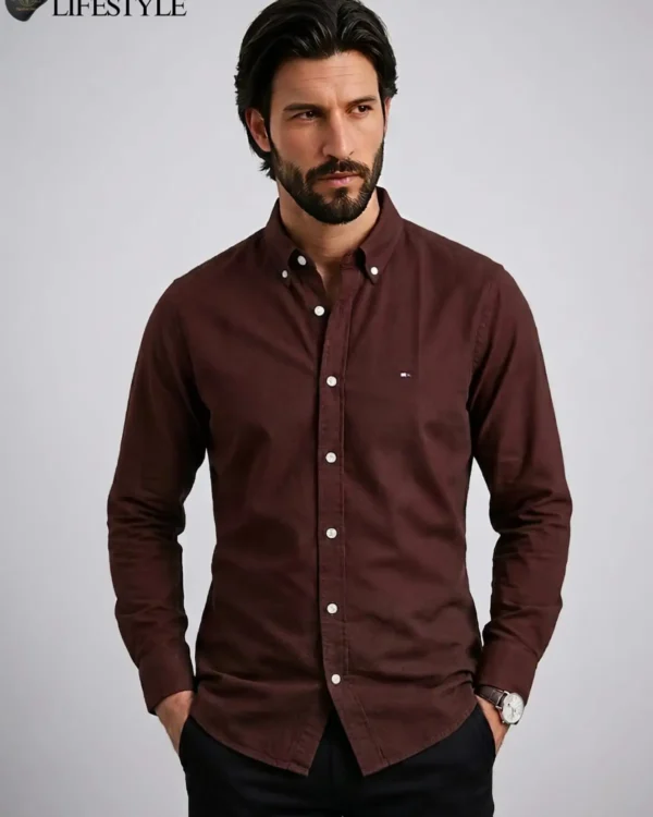 Tommy Oxford Cotton Shirt